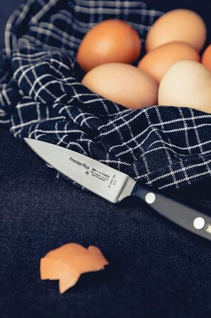Нож для разделки мяса 9 см Premier Plus F. DICK