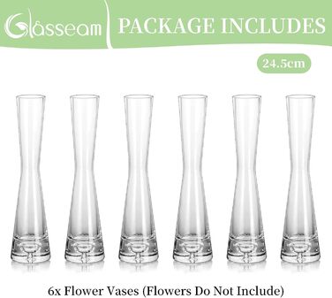 Набор ваз для цветов 6 предметов Glasseam