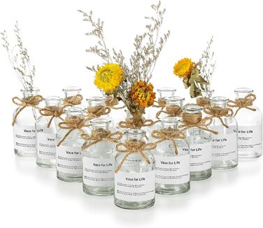 Набор маленьких ваз для цветов 16 предметов Glasseam