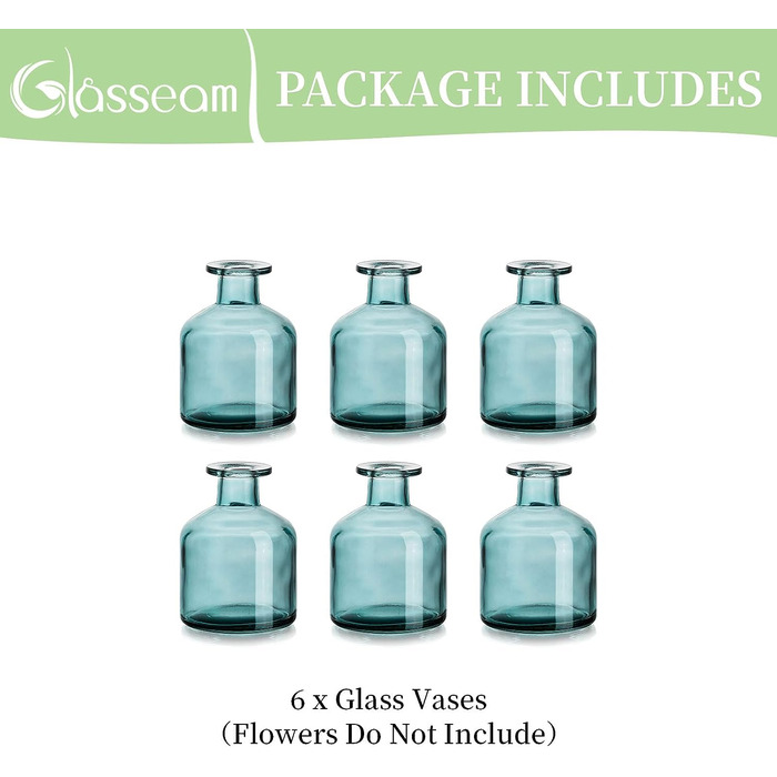 Набор ваз для цветов 6 предметов Glasseam